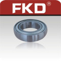 Deep Groove Ball Bearing